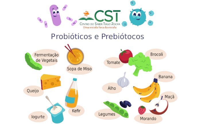 Aula Avulsa As Bactérias: Prebióticos e Probióticos a Fonte da Longevidade